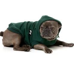 Fuzzyard Honden Hoodie Flash - Hondenkleding - Groen Size 1