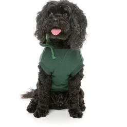 Fuzzyard Honden Hoodie Flash - Hondenkleding - Groen Size 5