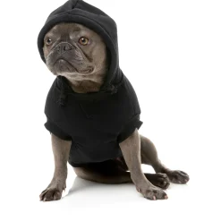 Fuzzyard Honden Hoodie Flash - Hondenkleding - Zwart Size 5