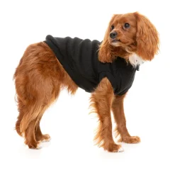 Fuzzyard Hondensweater Cambridge - Hondenkleding - Zwart Size 6