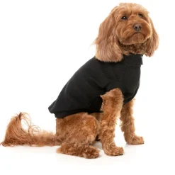 Fuzzyard Hondensweater Cambridge - Hondenkleding - Zwart Size 4