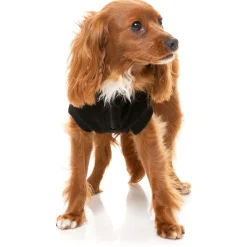 Fuzzyard Hondensweater Cambridge - Hondenkleding - Zwart Size 4