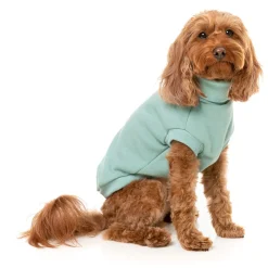 Fuzzyard Hondensweater Stevie - Hondenkleding - Mint Size 5