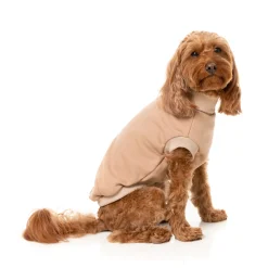 Fuzzyard Hondensweater Stevie - Hondenkleding - Beige Size 1
