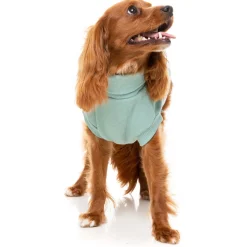 Fuzzyard Hondensweater Stevie - Hondenkleding - Mint Size 6