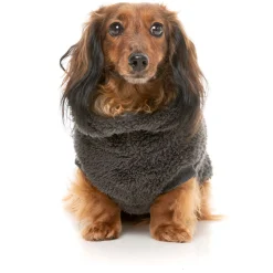 Fuzzyard Hondentrui Turtle Teddy - Hondenkleding - Zwart Size 2