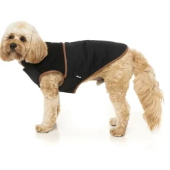 Fuzzyard Ivanhoe Jacket Zwart - Hondenkleding