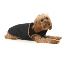 Fuzzyard Ivanhoe Jacket Zwart - Hondenkleding