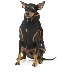 Fuzzyard Ivanhoe Jacket Zwart - Hondenkleding