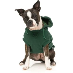 Fuzzyard Treats Hoodie Donkergroen - Hondenkleding