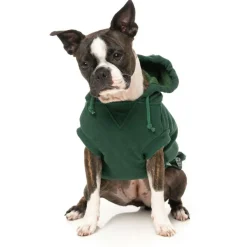 Fuzzyard Treats Hoodie Donkergroen - Hondenkleding