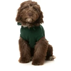 Fuzzyard Treats Hoodie Donkergroen - Hondenkleding