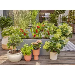 Gardena Startset Terras - Bewateringstoebehoor -