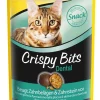 Gimcat Crispy Bits Dental - Kattensnack - 40 g
