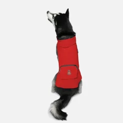 Goo-Eez Honden Regenjas - Hondenjas - 65 cm Rood Blauw Xxl
