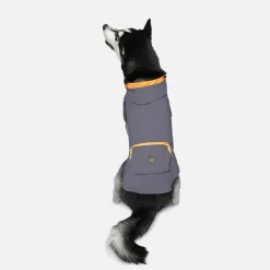 Goo-Eez Honden Regenjas - Hondenjas - 65 cm Zwart Geel Xxl
