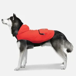 Goo-Eez Honden Regenjas - Hondenjas - 52 cm Rood Blauw L