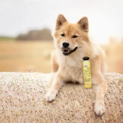 Greenfields Dog Silky Coat Shampoo - Hondenvachtverzorging - 25 cm Geel