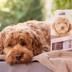 Greenfields Labradoodle Care Set - Hondenvachtverzorging - 25 cm Pink