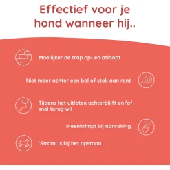 Greenfields Mobility+ - Voedingssupplement - 60 caps