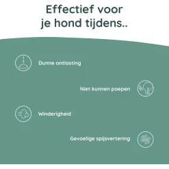 Greenfields Probiotics+ - Voedingssupplement - 60 caps