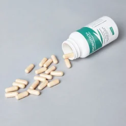 Greenfields Probiotics+ - Voedingssupplement - 60 caps
