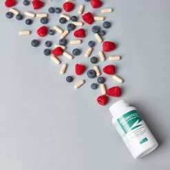 Greenfields Probiotics+ - Voedingssupplement - 60 caps