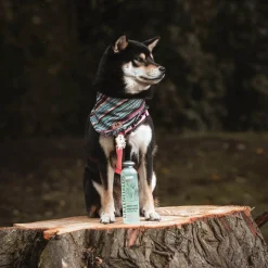 Greenfields Sensitive Care Set - Hondenvachtverzorging -