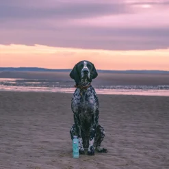 Greenfields Sensitive Care Set - Hondenvachtverzorging -