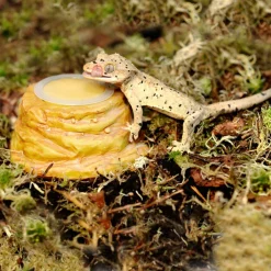 Habistat Gel Pot Houder - Terraium - Zandsteen