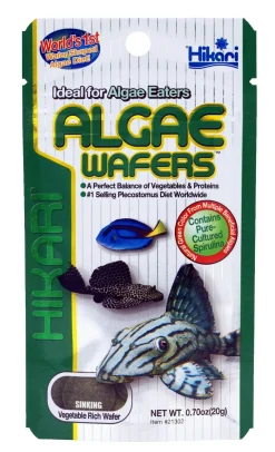 Hikari Algae Wafers - Vissenvoer