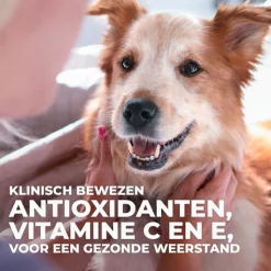 Hill's Canine Adult Large Breed Kip - Hondenvoer