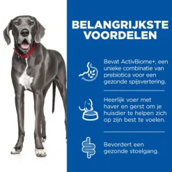 Hill's Canine Adult Perfect Digestion Large Breed Kip&Bruine Rijst - Hondenvoer