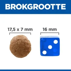 Hill's Canine Adult Perfect Digestion Large Breed Kip&Bruine Rijst - Hondenvoer