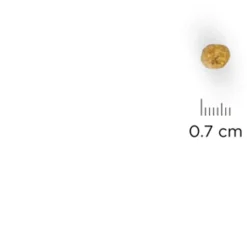 Hill's Feline Adult Light Kip - Kattenvoer