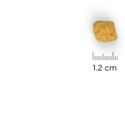 Hill's Feline Adult Oral Care - Kattenvoer - Kip 5 kg