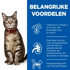 Hill's Feline Maaltijdzakjes Adult - Kattenvoer - Kalkoen 85 g