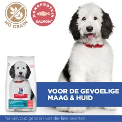 Hill's Hypoallergenic Adult Large - Hondenvoer - Zalm 14 kg