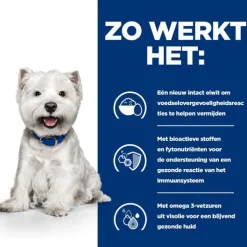 Hill's Prescription Diet Derm Complete Mini Environmental/Food Sensitivities - Hondenvoer - Rijst Ei 1 kg