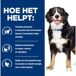 Hill's Prescription Diet J/D Metabolic + Mobility  Weight Management Zak - Hondenvoer - Kip 1.5 kg