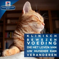 Hill's Prescription Diet K/D Kidney Care Maaltijdzakjes - Kattenvoer - Rund 12x85 g