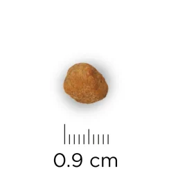 Hill's Prescription Diet Metabolic Weight Management Zak Kip - Kattenvoer