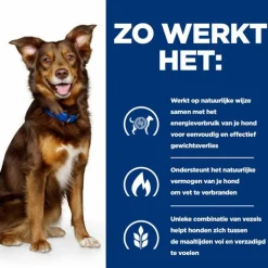 Hill's Prescription Diet Metabolic Weight Management - Hondenvoer - Lam Rijst 12 kg