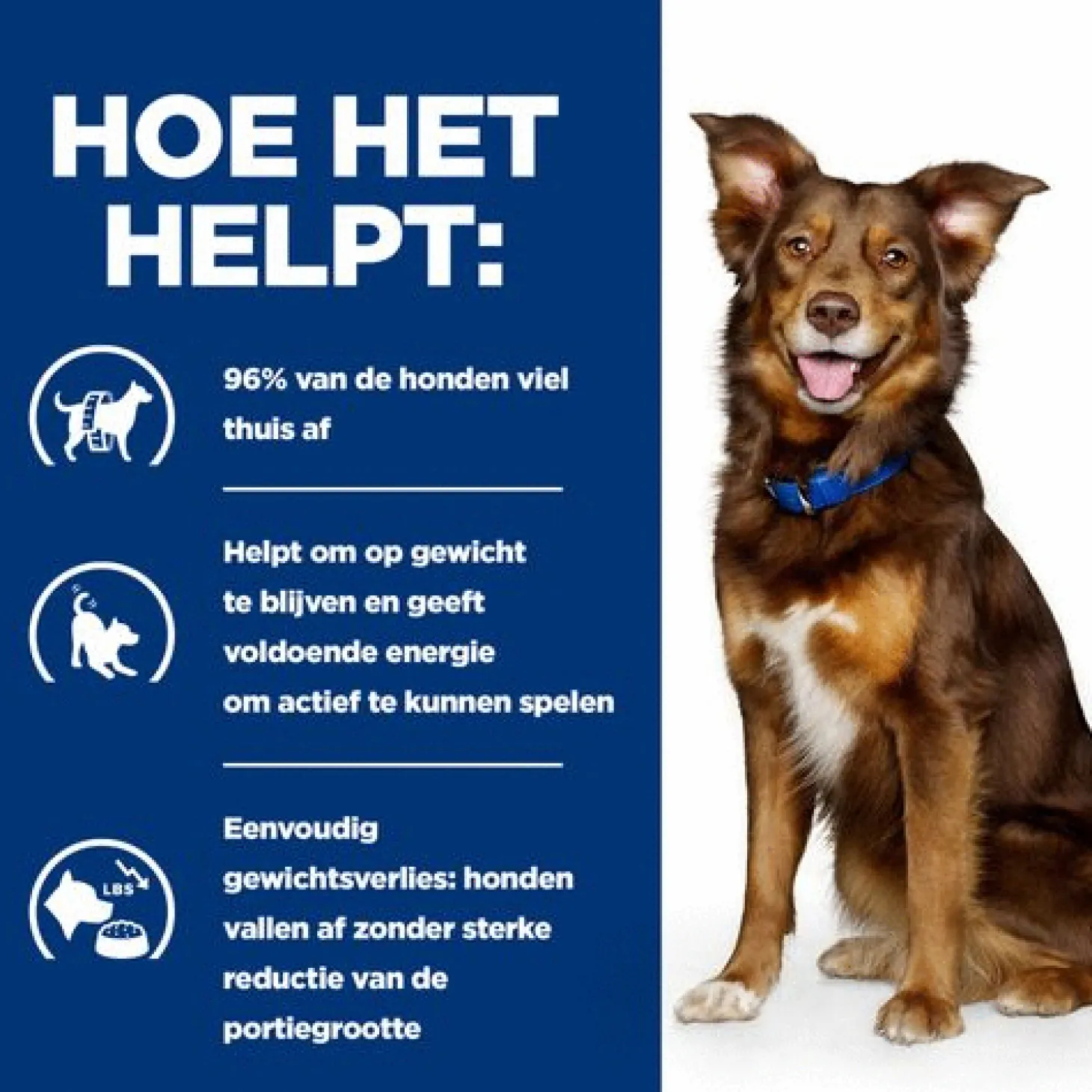 Hill's Prescription Diet Metabolic Weight Management - Hondenvoer - Lam Rijst 12 kg