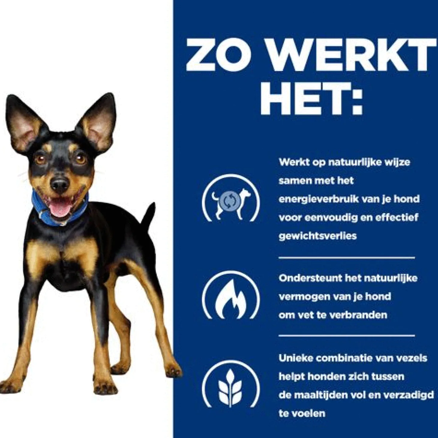 Hill's Prescription Diet Metabolic Mini Weight Management Zak - Hondenvoer - Kip 1 kg