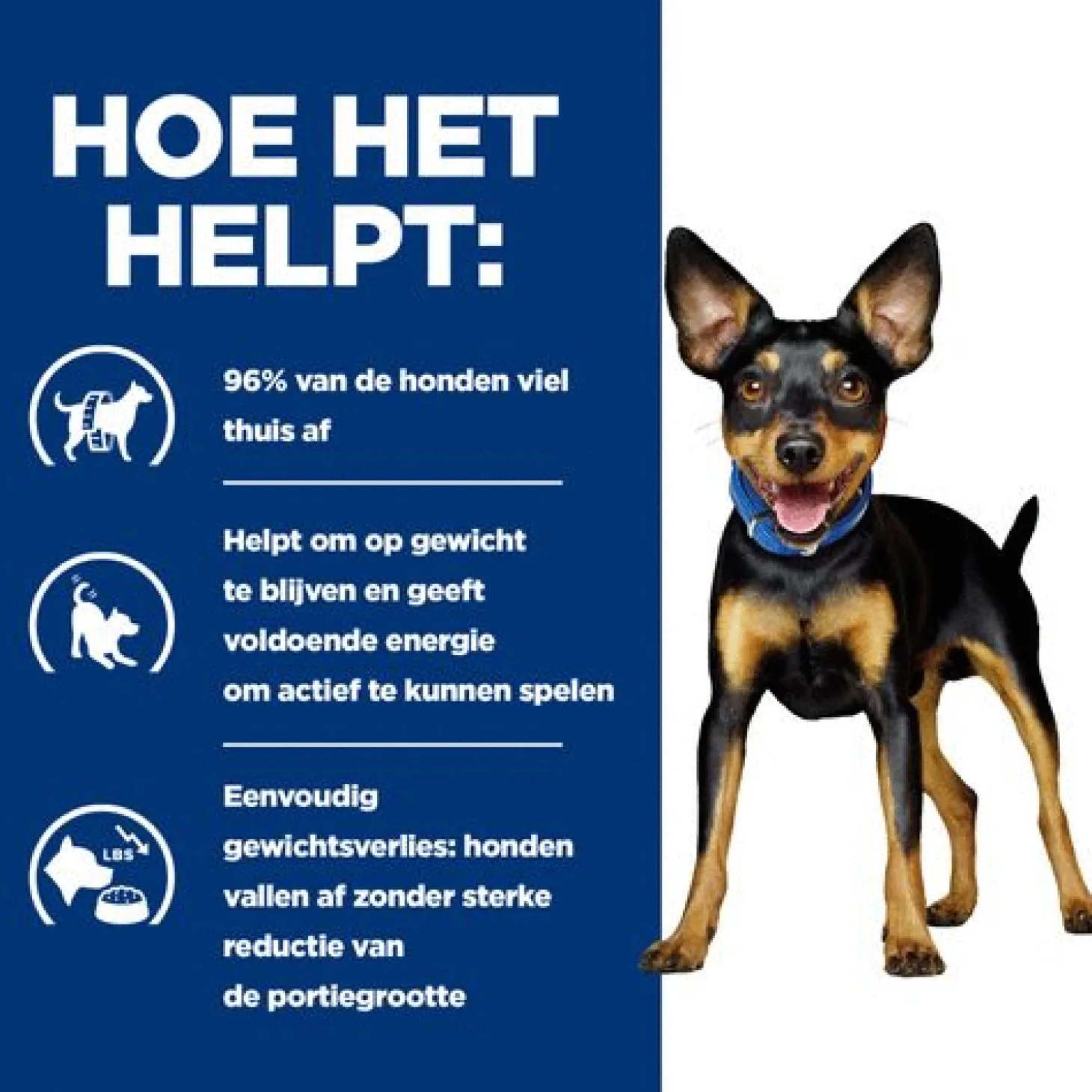 Hill's Prescription Diet Metabolic Mini Weight Management Zak - Hondenvoer - Kip 1 kg