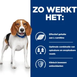 Hill's Prescription Diet R/D Weight Reduction Zak - Hondenvoer - Kip 10 kg