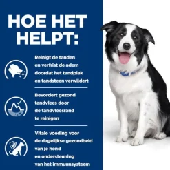 Hill's Prescription Diet T/D Dental Care  Zak - Hondenvoer - Kip 4 kg