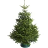 Hm Nordmann Gezaagd - Kerstboom - Geel 100-150 Cm