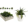 Homestyle Plant In Pot - Kunstplanten - 15 cm 6 Assorti